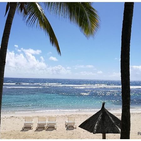 Studio Village Vacances,Vue Mer, Plage A 30M ,Wifi A Sainte Anne מראה חיצוני תמונה