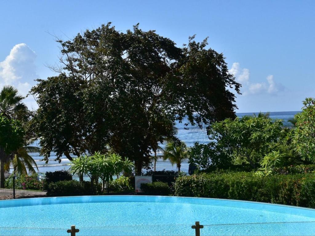 Studio Village Vacances,Vue Mer, Plage A 30M ,Wifi A Sainte Anne מראה חיצוני תמונה