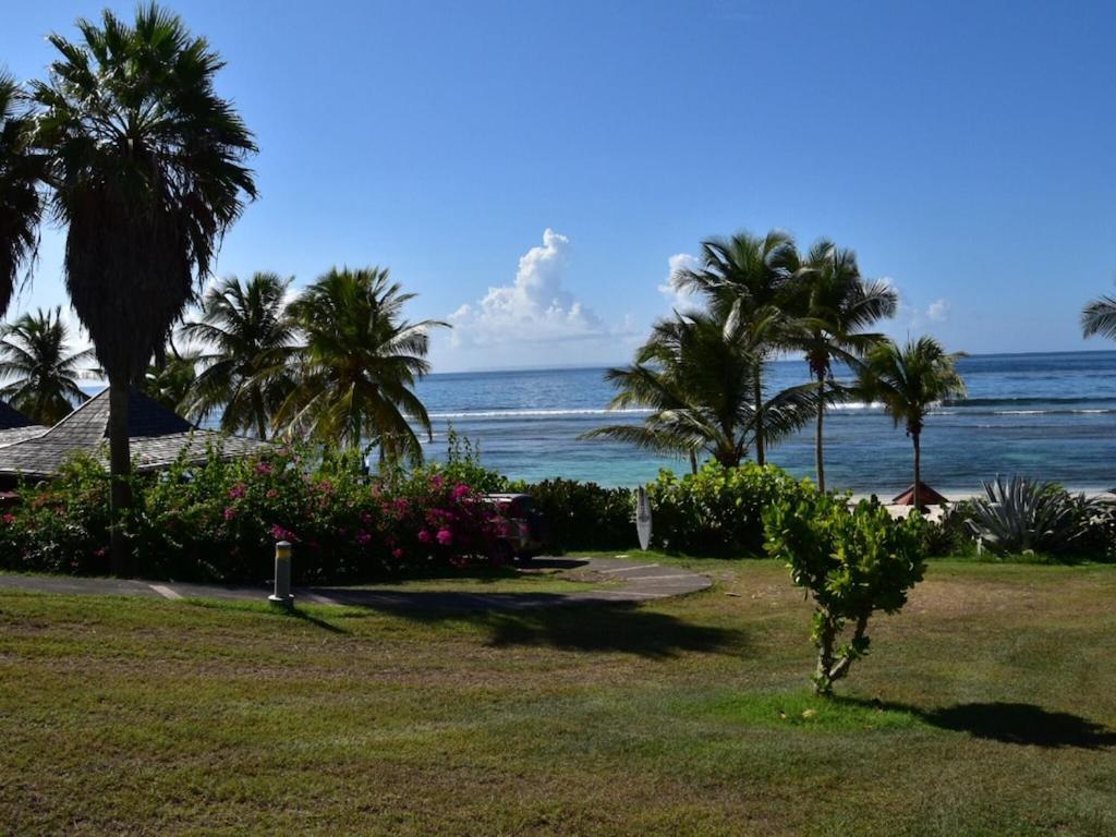 Studio Village Vacances,Vue Mer, Plage A 30M ,Wifi A Sainte Anne מראה חיצוני תמונה