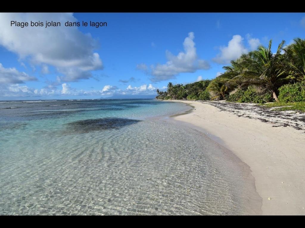 Studio Village Vacances,Vue Mer, Plage A 30M ,Wifi A Sainte Anne מראה חיצוני תמונה