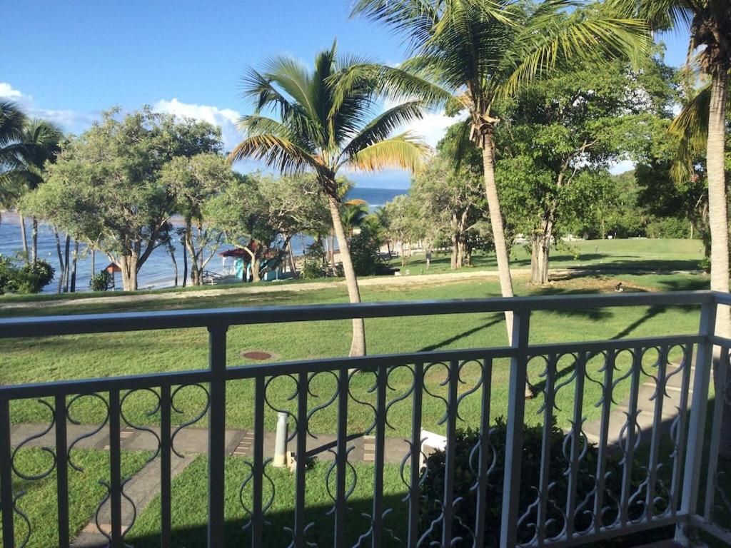 Studio Village Vacances,Vue Mer, Plage A 30M ,Wifi A Sainte Anne מראה חיצוני תמונה