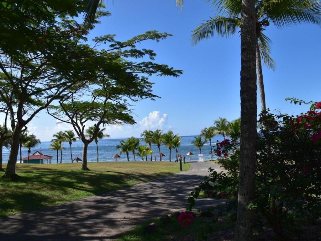 Studio Village Vacances,Vue Mer, Plage A 30M ,Wifi A Sainte Anne מראה חיצוני תמונה